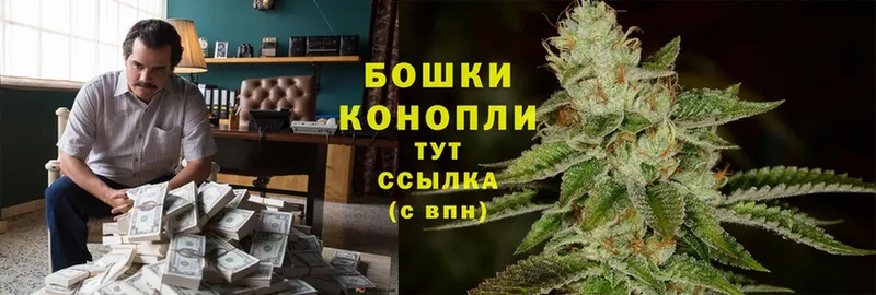 купить   Козловка  Бошки Шишки Bruce Banner 